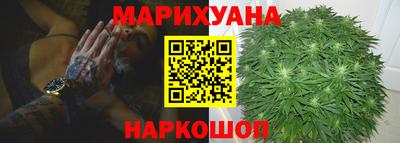 ECSTASY Бийск