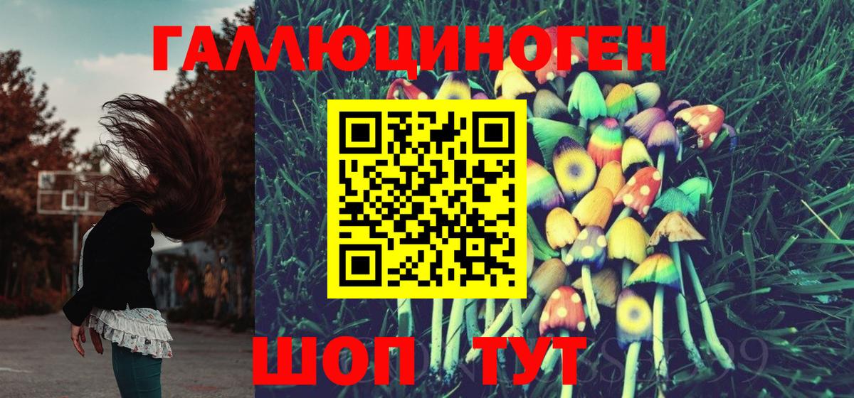 Псилоцибиновые грибы Cubensis Джанкой