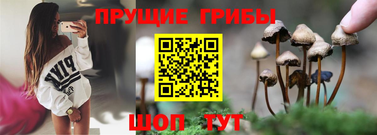Псилоцибиновые грибы MAGIC MUSHROOMS  Вход с VPN  Джанкой 